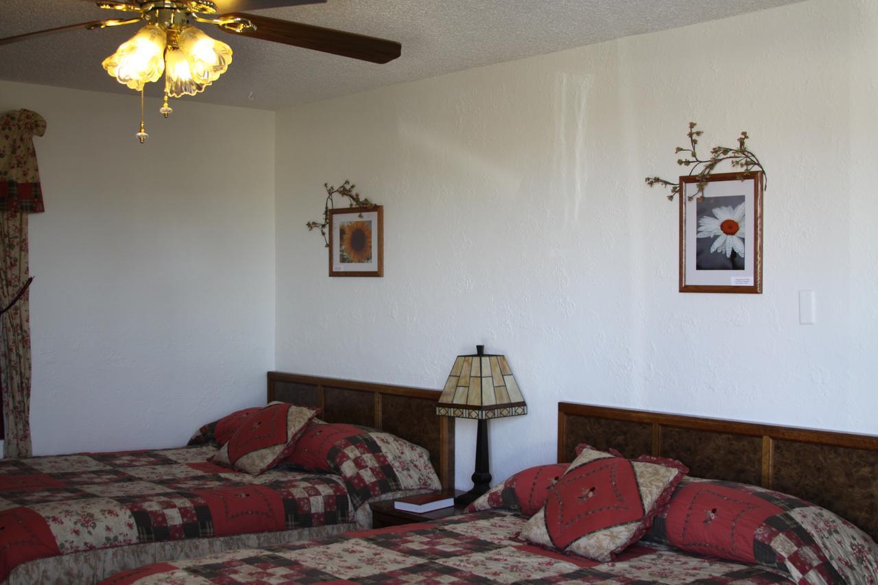Sleep For Less Motel Sidney Exterior foto